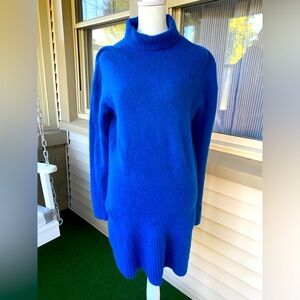 Everlane, Cozy Stretch Turtleneck Dress!